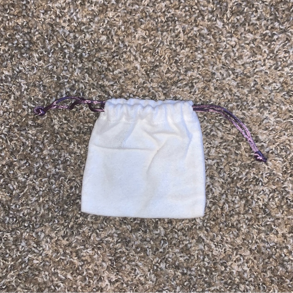 Authentic Judith Leiber Small Dustbag - Picture 2 of 4